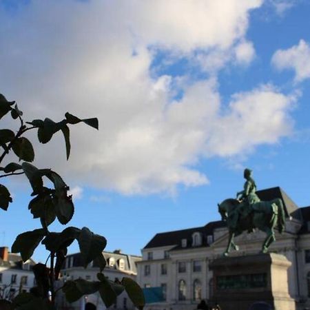 Le Scandinave, Proche Bord De Loire Orléans Eksteriør bilde