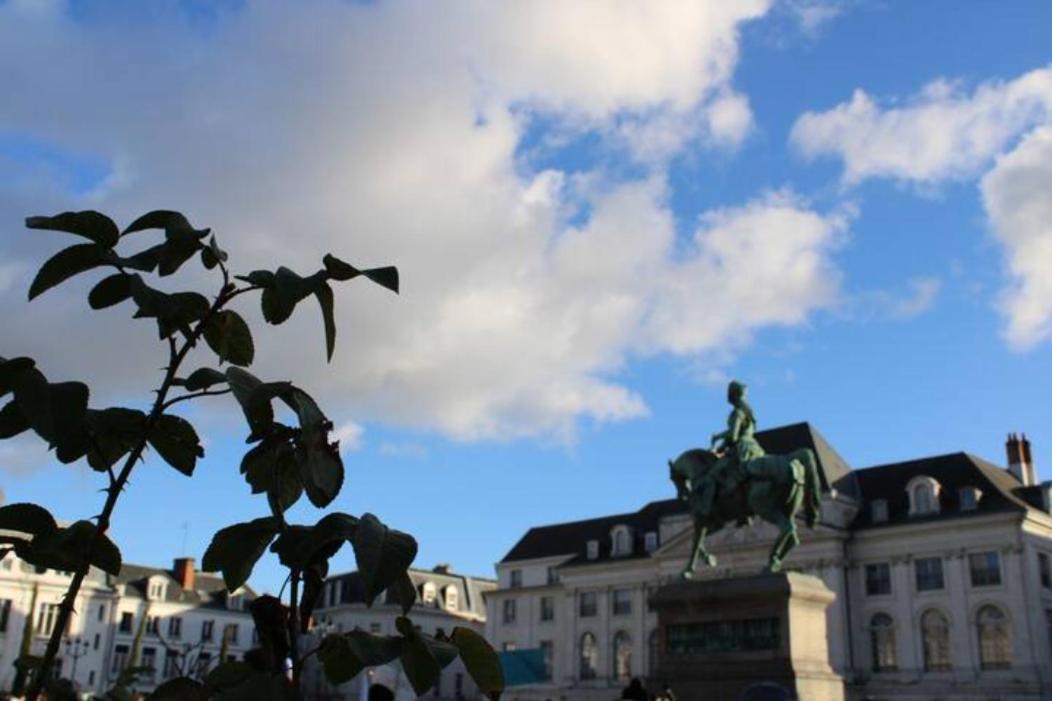 Le Scandinave, Proche Bord De Loire Orléans Eksteriør bilde