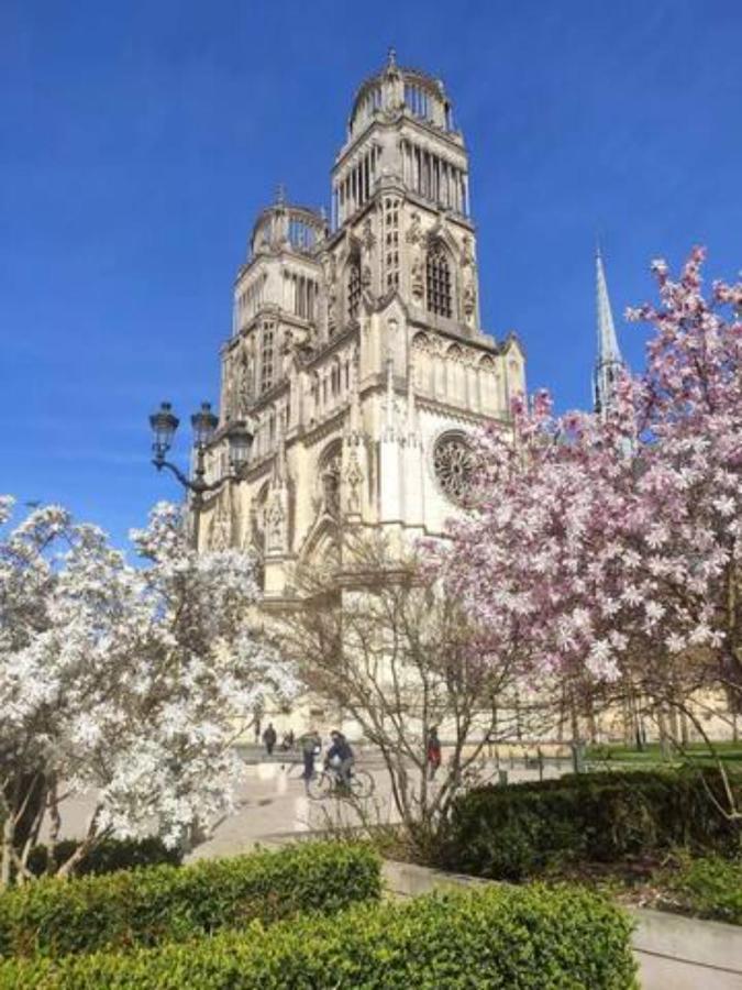 Le Scandinave, Proche Bord De Loire Orléans Eksteriør bilde